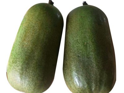 農(nóng)之寶農(nóng)寶商城 蔬菜類(lèi)目引領(lǐng)便捷農(nóng)產(chǎn)品交易