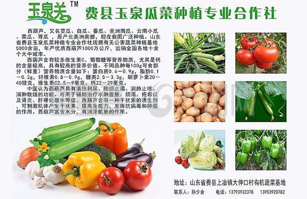 新鮮直達，品質承諾——綠色蔬菜產品宣傳與農副產品收購服務