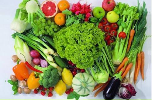 守護餐桌，從田間到食堂——一家蔬菜運輸公司的新鮮與安全之道